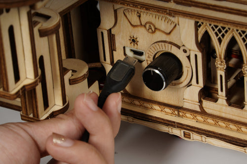 ROKR Klassisches Grammophon 3D Holzpuzzle (Elektrische Version)